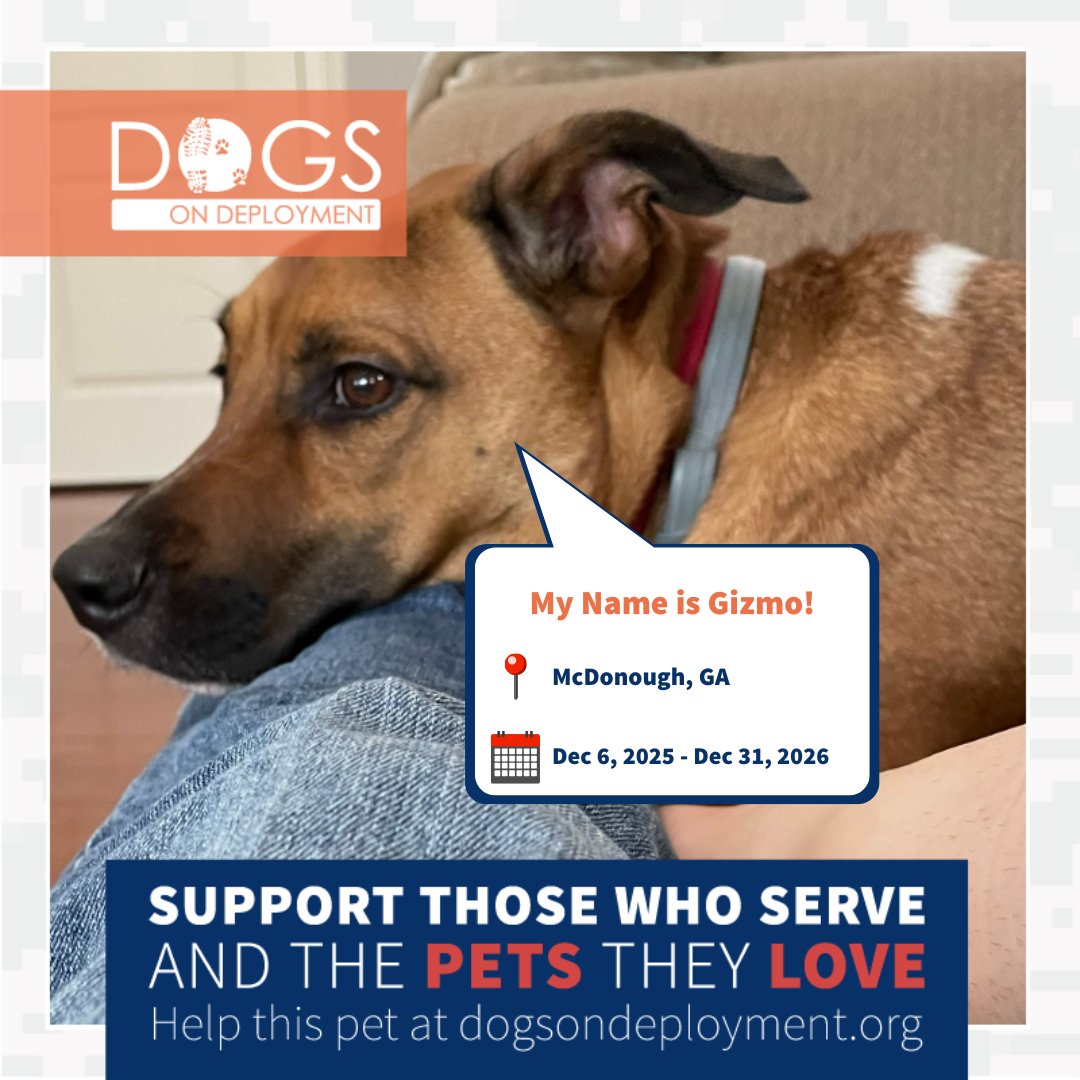 Dogs on Deployment tweet media