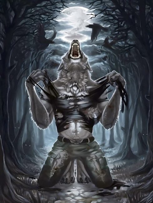 floorb !! 🍓 tweet media