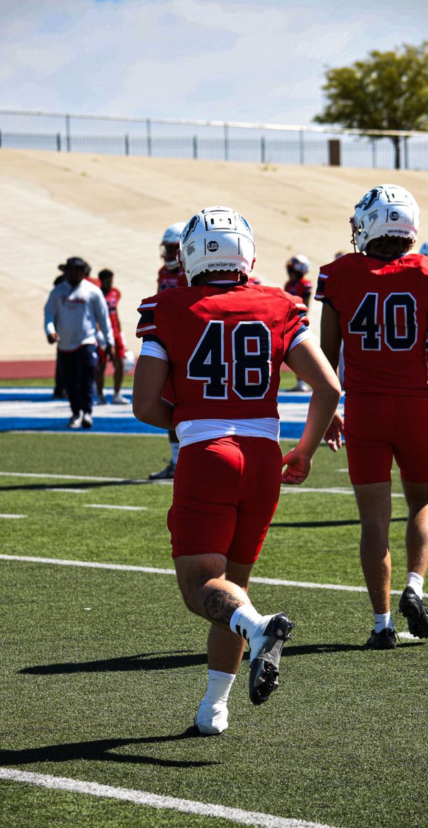 Matthew Feibush tweet media