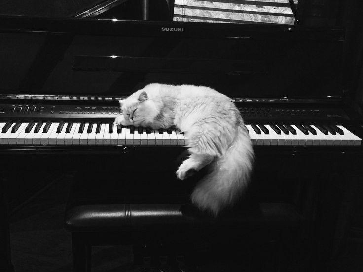 blackdreamvibes's tweet image. 