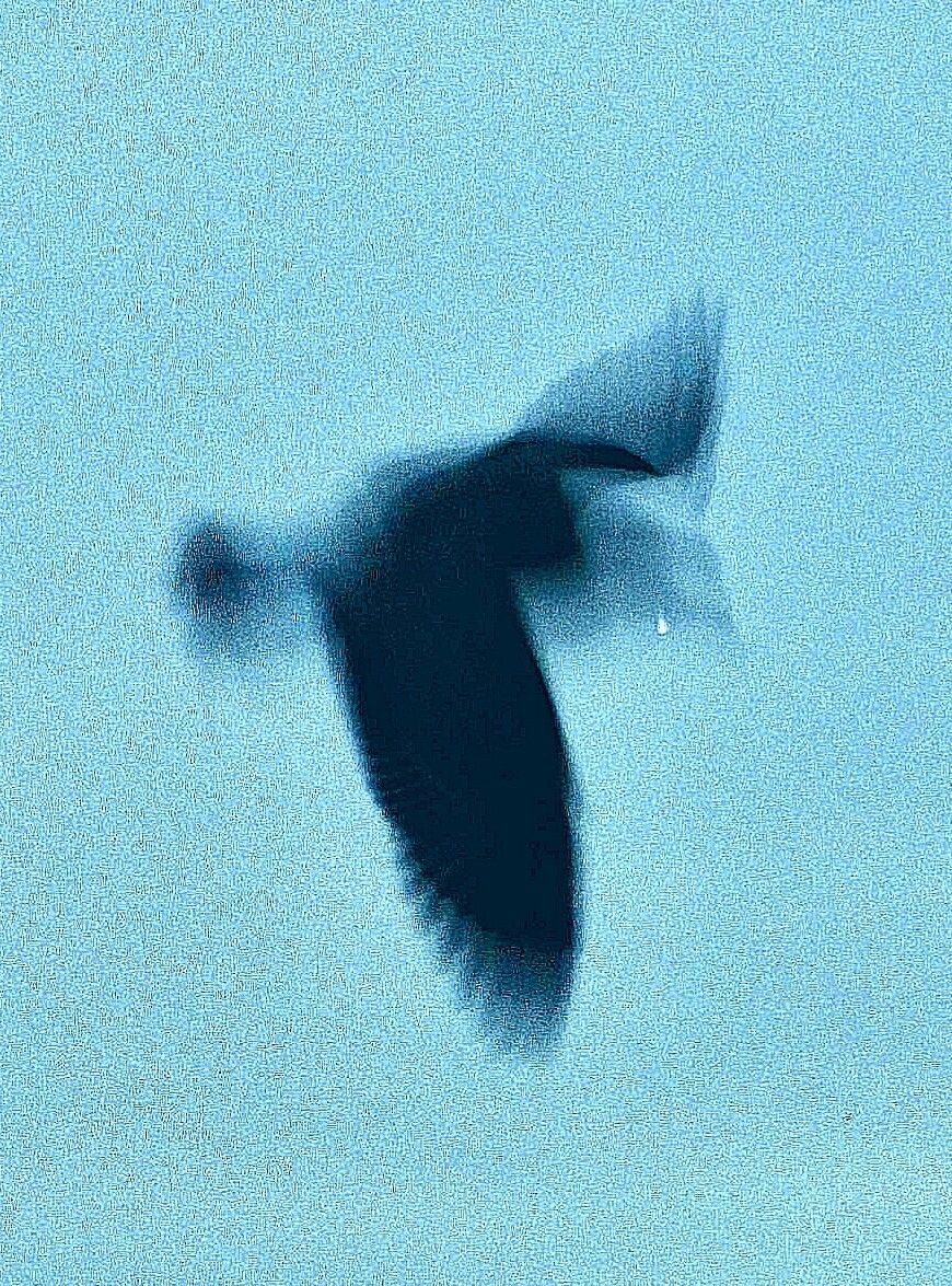 TheIronMarshal3's tweet image. Speak less.
Speak patiently.
In one word, speak one hundred.
Leave words unsaid. 
They will flow when the need arises.