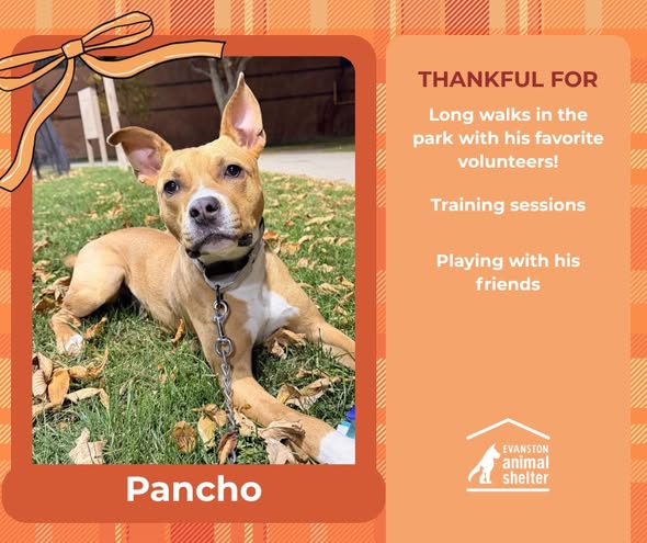 Gary Dare tweet media