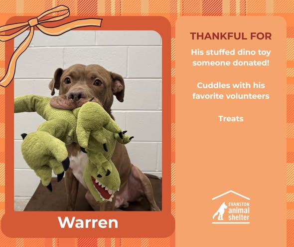 Gary Dare tweet media