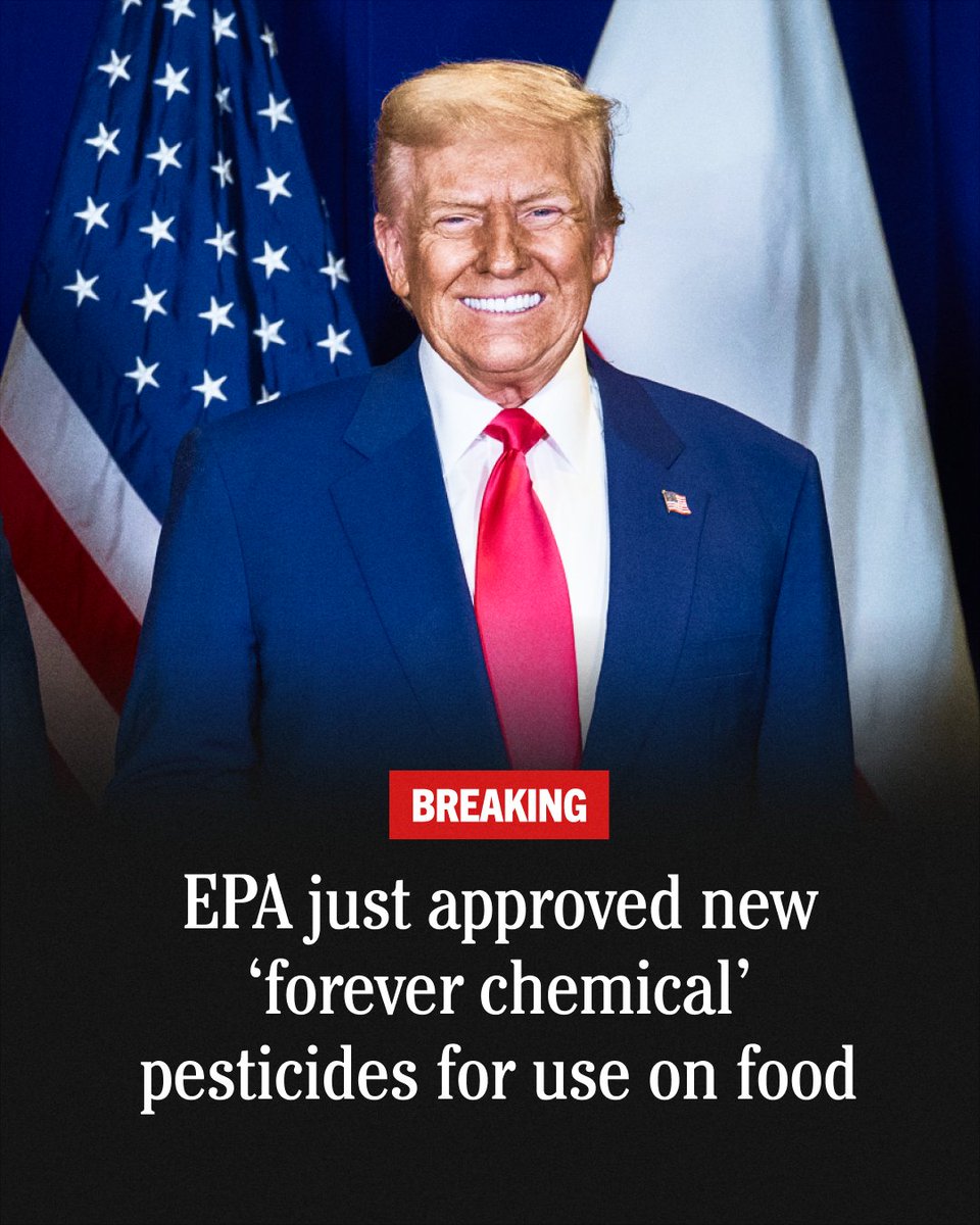 TheDemocrats's tweet image. 