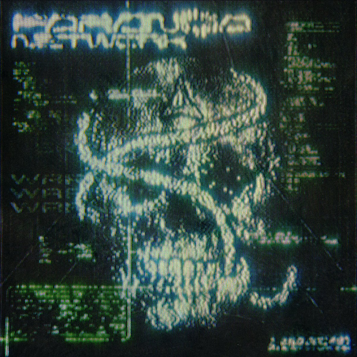 dither boy is all about skulls