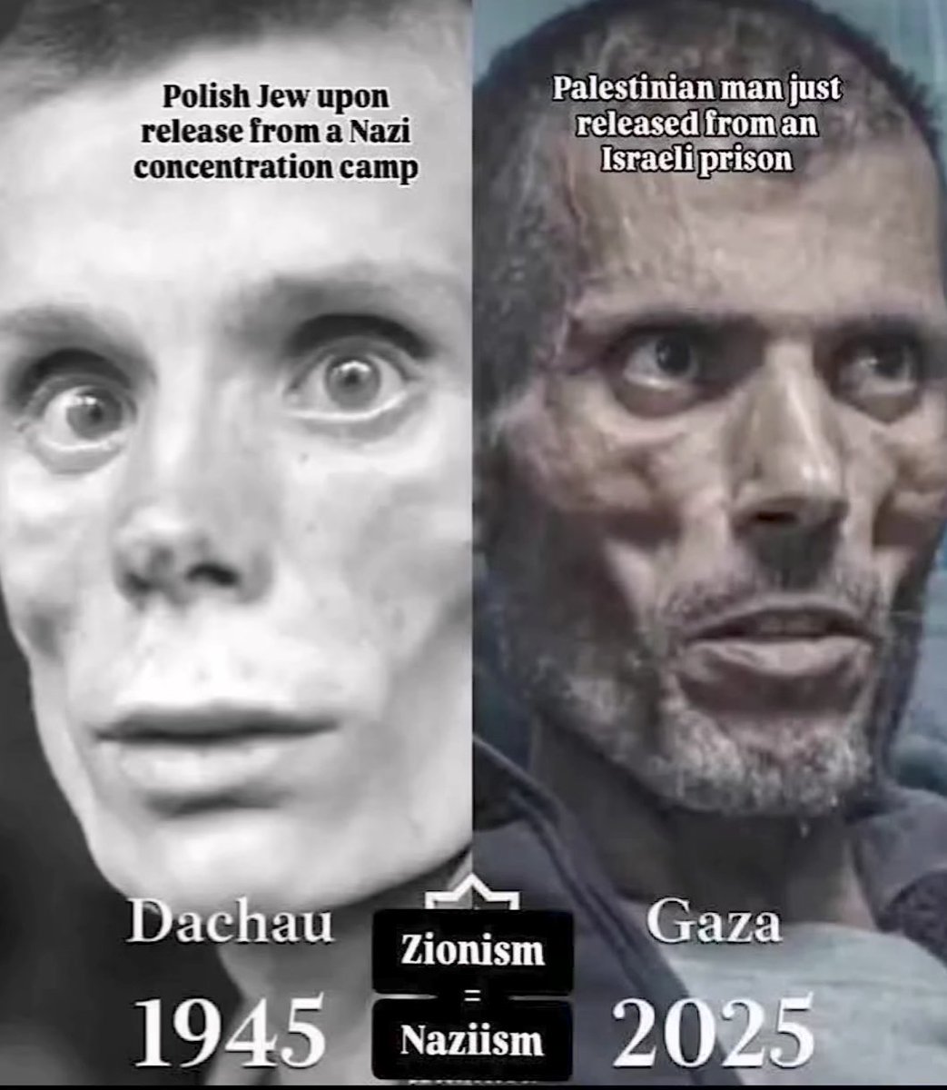 Partisan_12's tweet image. Do you see any difference?