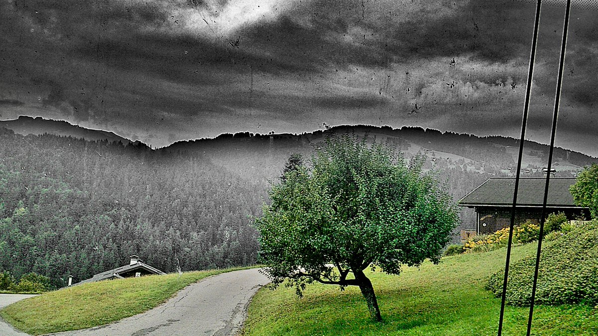 <a href="/RevPermanente/">Révolution Permanente</a> Participez à cette souscription pour donner à une orga révolutionnaire les moyens d'agir avec comme ambition de renverser le capitalisme, ce système atroce qui exploite et détruit les humains, les animaux, les plantes ainsi que la planète toute entière❗️
📍don.revolutionpermanente.fr