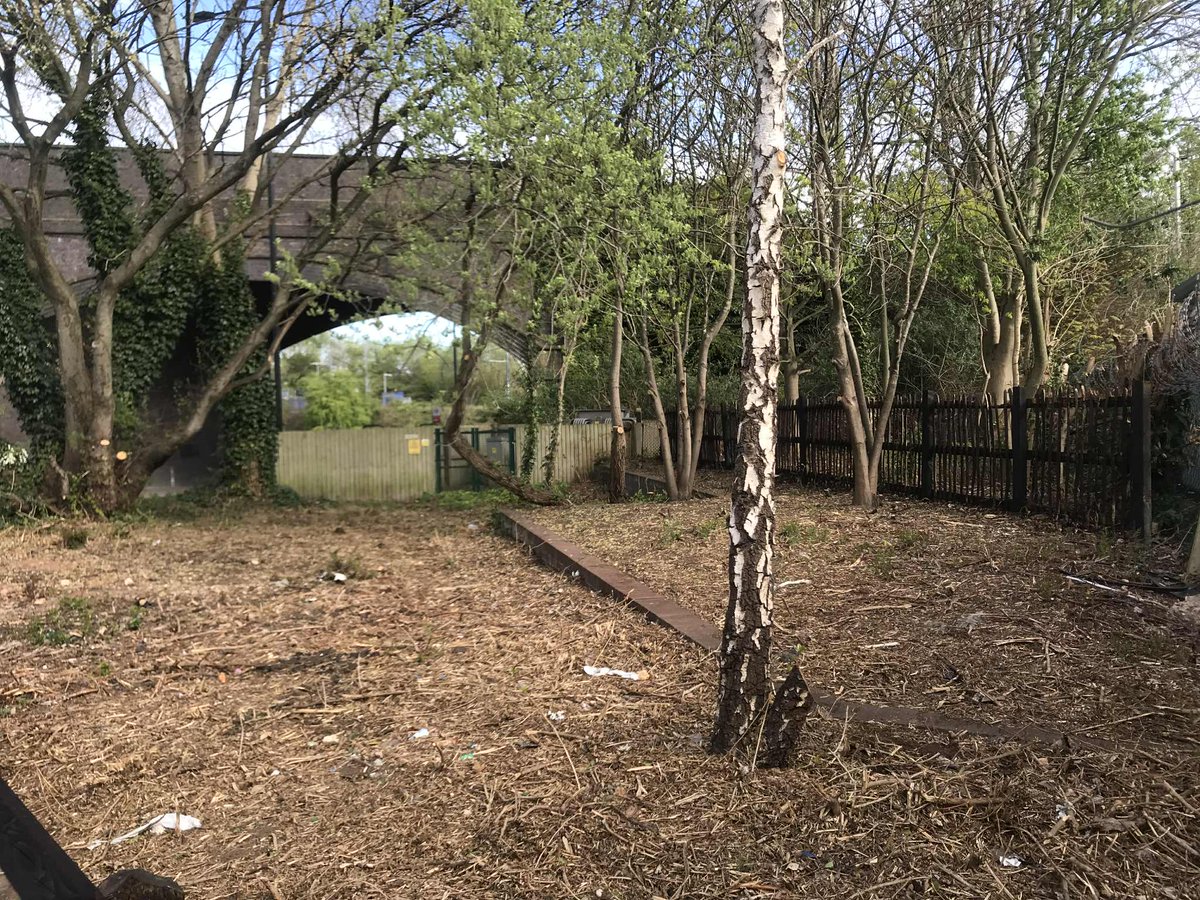 The Patchwork Meadow tweet media