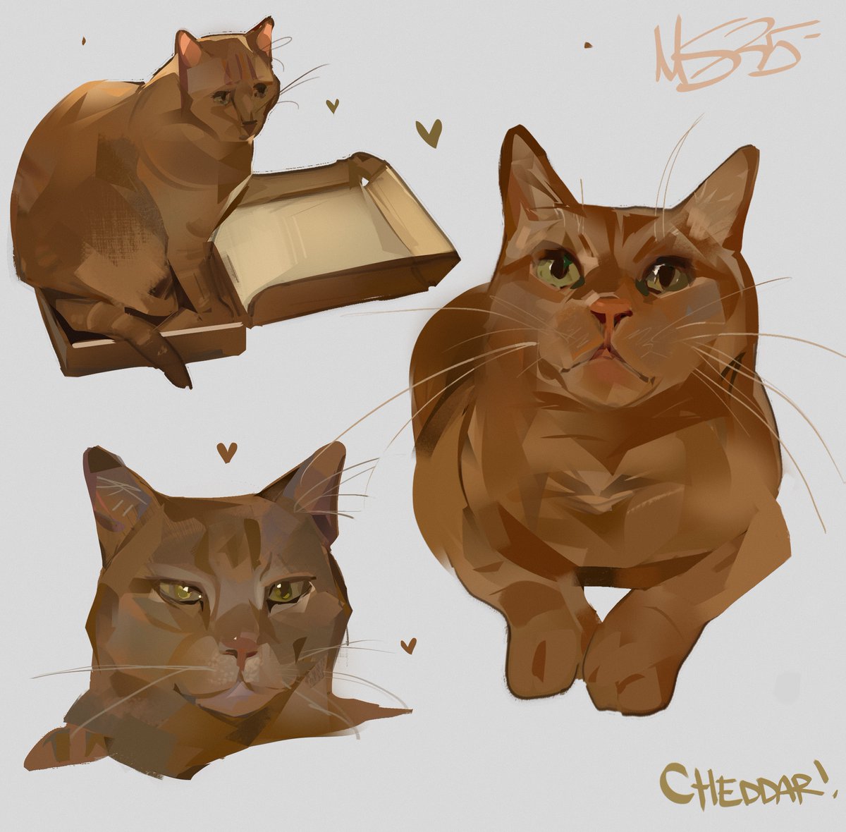 d0thinktwice's tweet image. i drew THE cheddar🧡