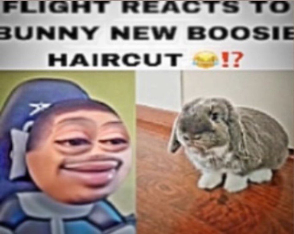 DailyShitpost (@shitpost_daily) on Twitter photo 