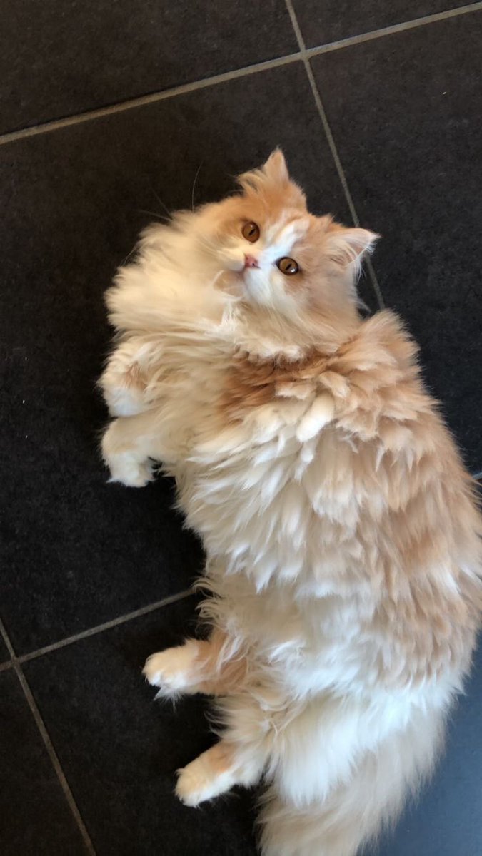 thechainsmkrs's tweet image. eu com a minha filha porque to com saudade dela