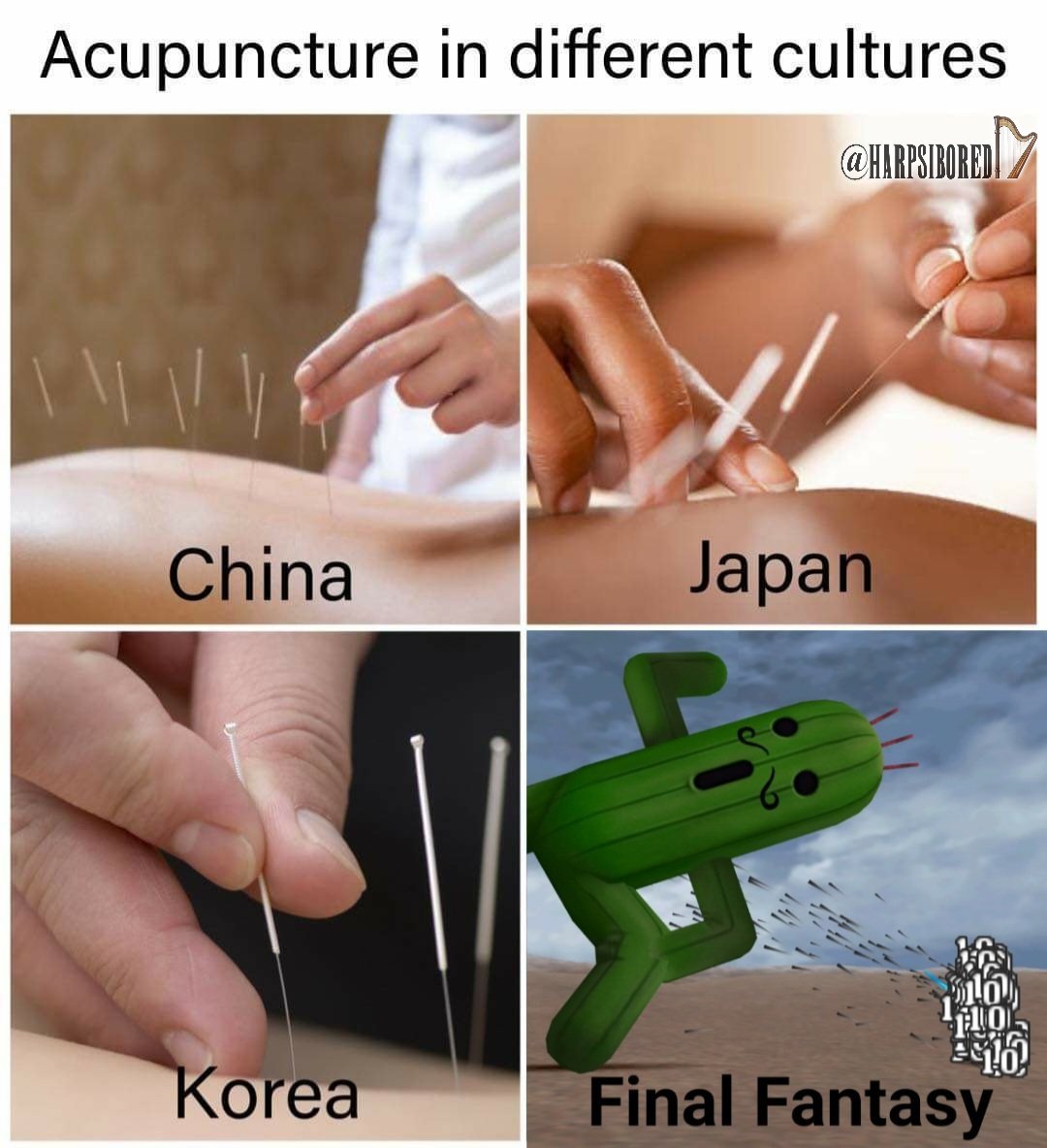 harpsibored's tweet image. 🪡🪡🪡