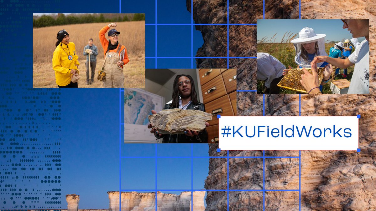 ResearchAtKU's tweet image. Fieldwork is essential to new discoveries. @UnivOfKansas researchers gather data from rivers, prairies, glaciers, archives + more. Our #KUFieldWorks series highlights what this looks like in practice. 👇