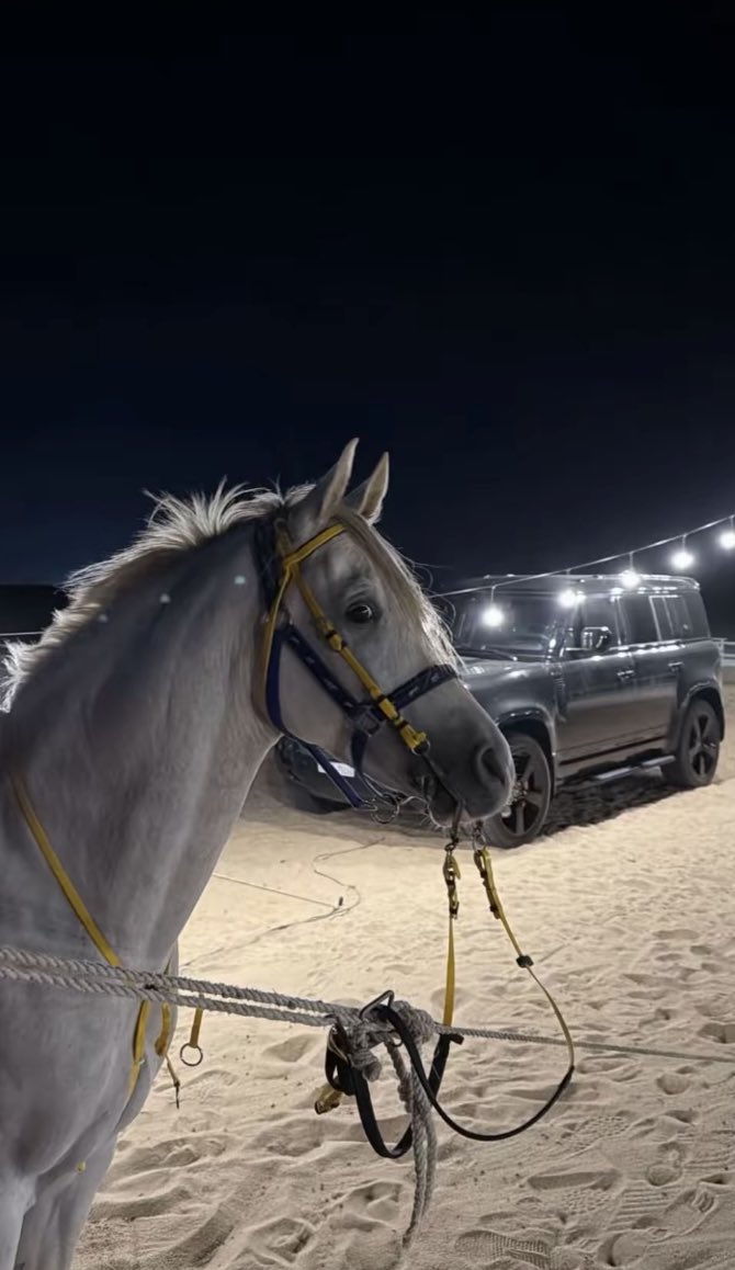 mcii76's tweet image. عمر الردي ما يحسن الظن بالناس 
دايم يظن الناس مثله رديّه !