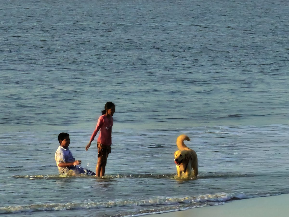 Entroprox's tweet image. What I see vs What I take.

ft. (Super secret phone)

23mm , 700mm