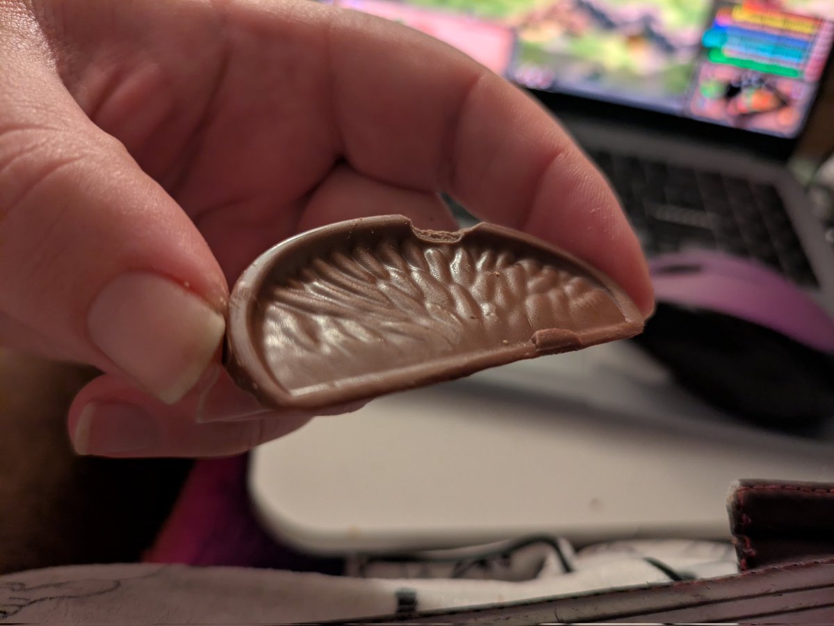 🐟 PlushieTum / A SharpePhotography tweet media