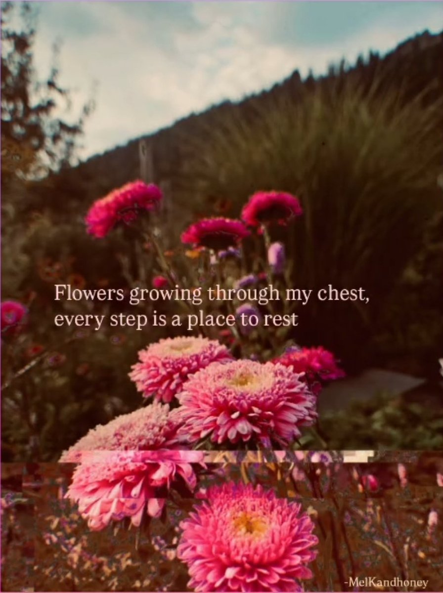 Lady. MelKandhoney tweet media