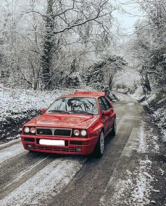 🇬🇧 Fast & Ferocious (@fafbulldog) on Twitter photo 