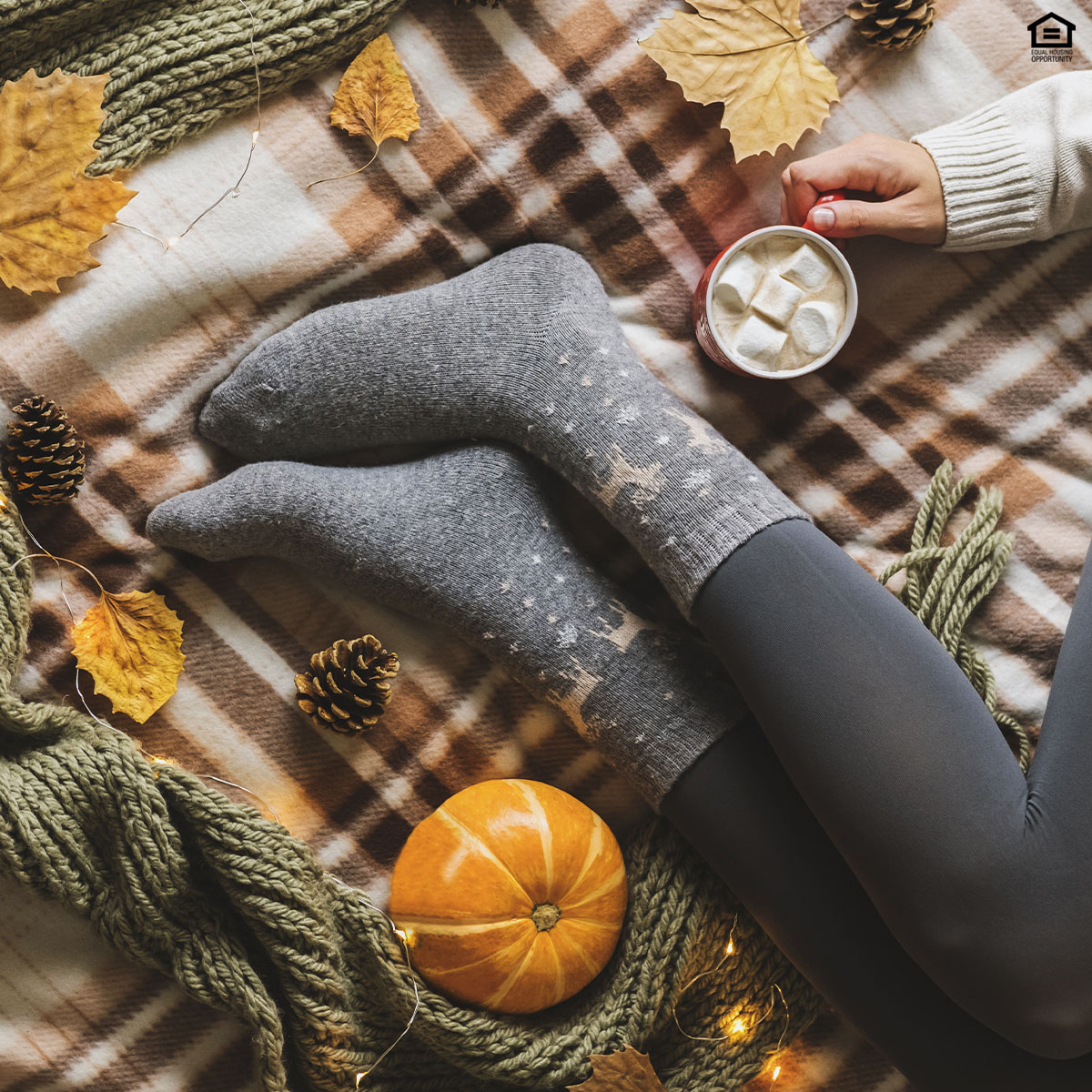PointOWoodsofMS's tweet image. Grab your favorite mug, fluffy blanket and cozy socks, then sink into pure comfort right here in your Point O'Woods apartment—because this is what a perfect, cozy day at home looks like! ☕️🍫🧡