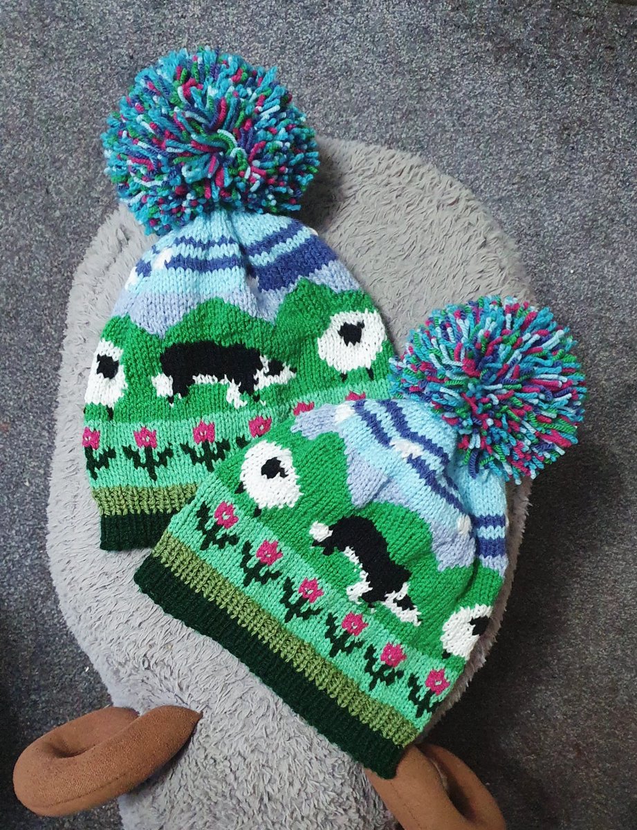 LouiseWalton78's tweet image. These two hand knitted Sheep Farm Hats have been posted to America 🇺🇸 I hope they brighten up their day 💙🌸🐑💜