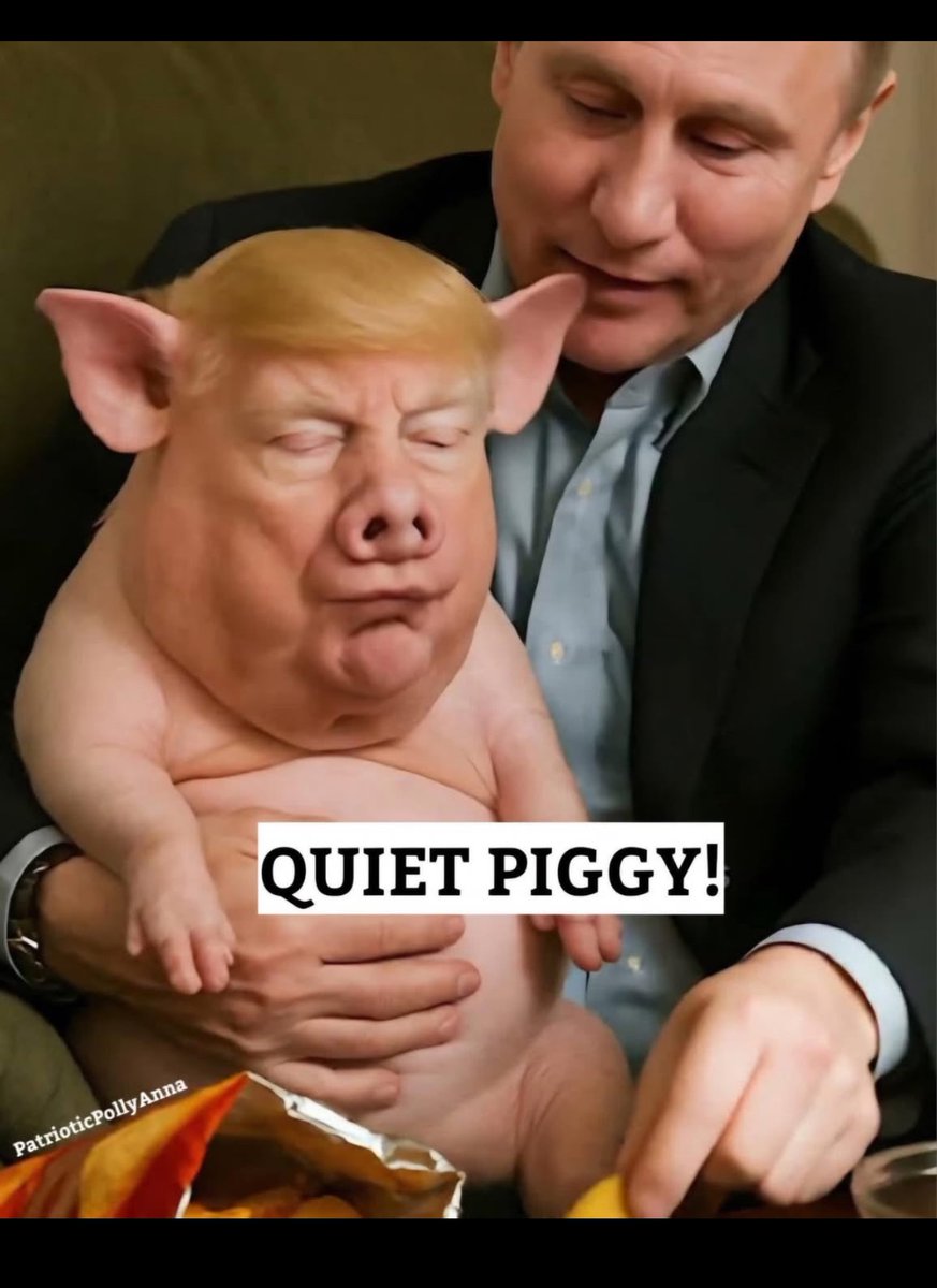 PatiKRoll11's tweet image. The NATION STANDS WITH MARK KELLY! We must END the corrupt @DeptofWar @PeteHegseth &amp;amp; Putin’s demented child rapist &amp;amp; felon!  @RepMarkAlford @RepMikeLawler @RepStefanik @RepMikeTurner @LindseyGrahamSC @tedcruz @HawleyMO @RepHageman @RepCiscomani @RepCarlos ORBANS CPAC STUDENTS!!!