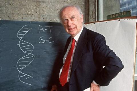 EntrustFS's tweet image. Malignancies that meant a certain quick death not long ago have become treatable, even curable. tinybfs.com/t/AdVXIH