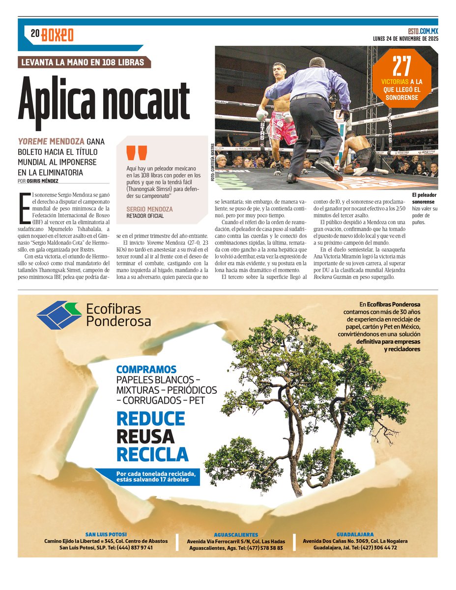 El sonorense Sergio 'Yoreme' Mendoza se ganó el boleto para disputar el título mundial de peso minimosca <a href="/IBFUSBAboxing/">IBF</a> al noquear a su rival sudafricano; la pelea de campeonato mundial vs Thanongsak Simsri podría realizarse en el 1er trimestre de 2026 🥊🇲🇽