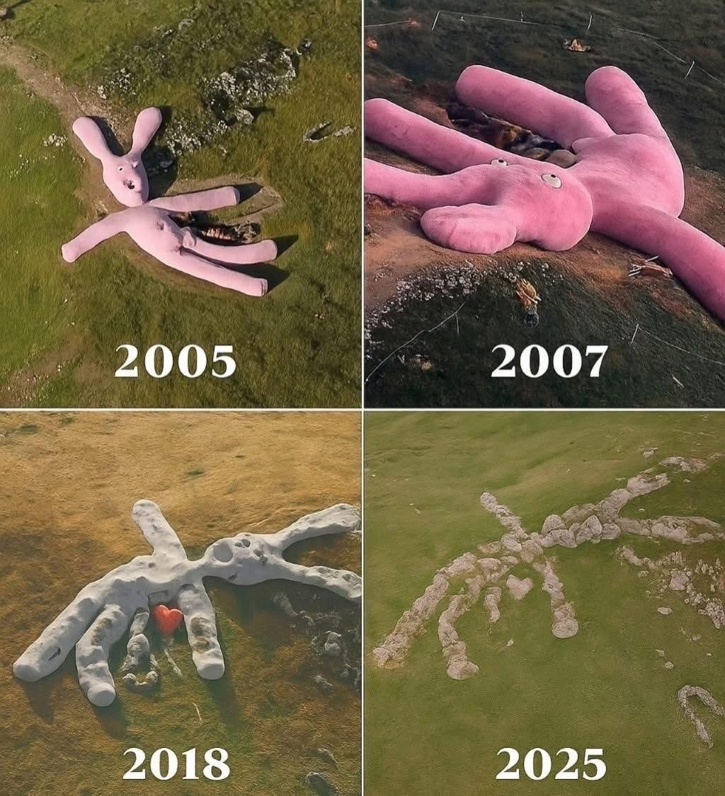 2005년 아티스트 Gelitin이란 분이 이탈리아의 Colletto Fava 언덕에 만든 작품...마치 하늘에서 던져준 장난감같은 컨셉의 작품인데, 패브릭과 밀짚으로 만든 이 작품이 조용히 자연속으로 스며들기 바랬던 작가의 바램이 오랜 세월을 통해 점점 이루어지고 있는 모습이다...
tumblr.com/catchymemes/79…