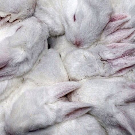 xeeaco's tweet image. 