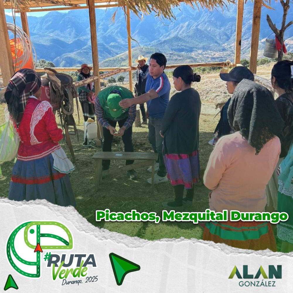 Alan González P. tweet media