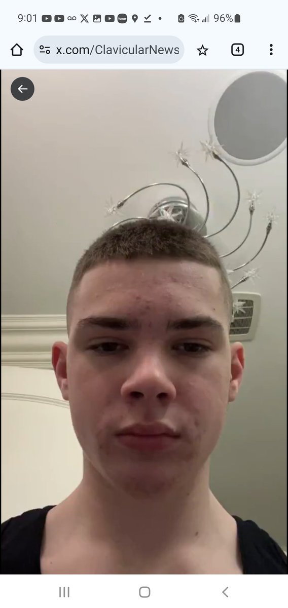 Looksmax.org tweet media