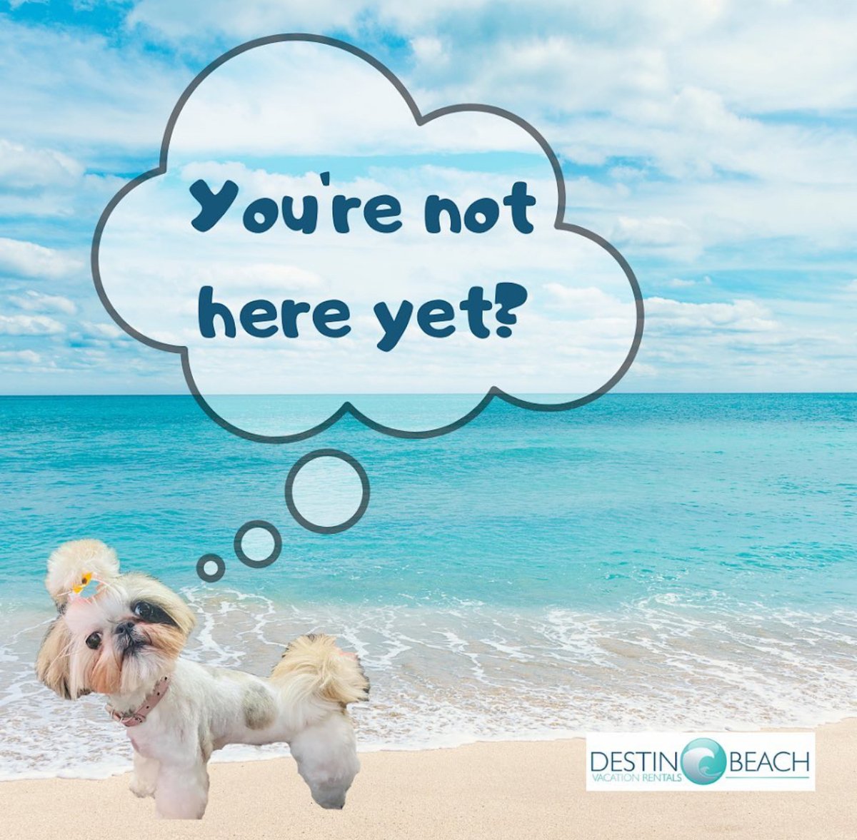 destinbeachvr's tweet image. When will we see you again on the Emerald Coast? 🌊
Plan your next Destin or Miramar Beach getaway with Destin Beach Vacation Rentals.
Book direct: DestinBeachVacationRentalsInc.com
#Destin #MiramarBeach #VacationRentals #BeachTrip #BookDirect