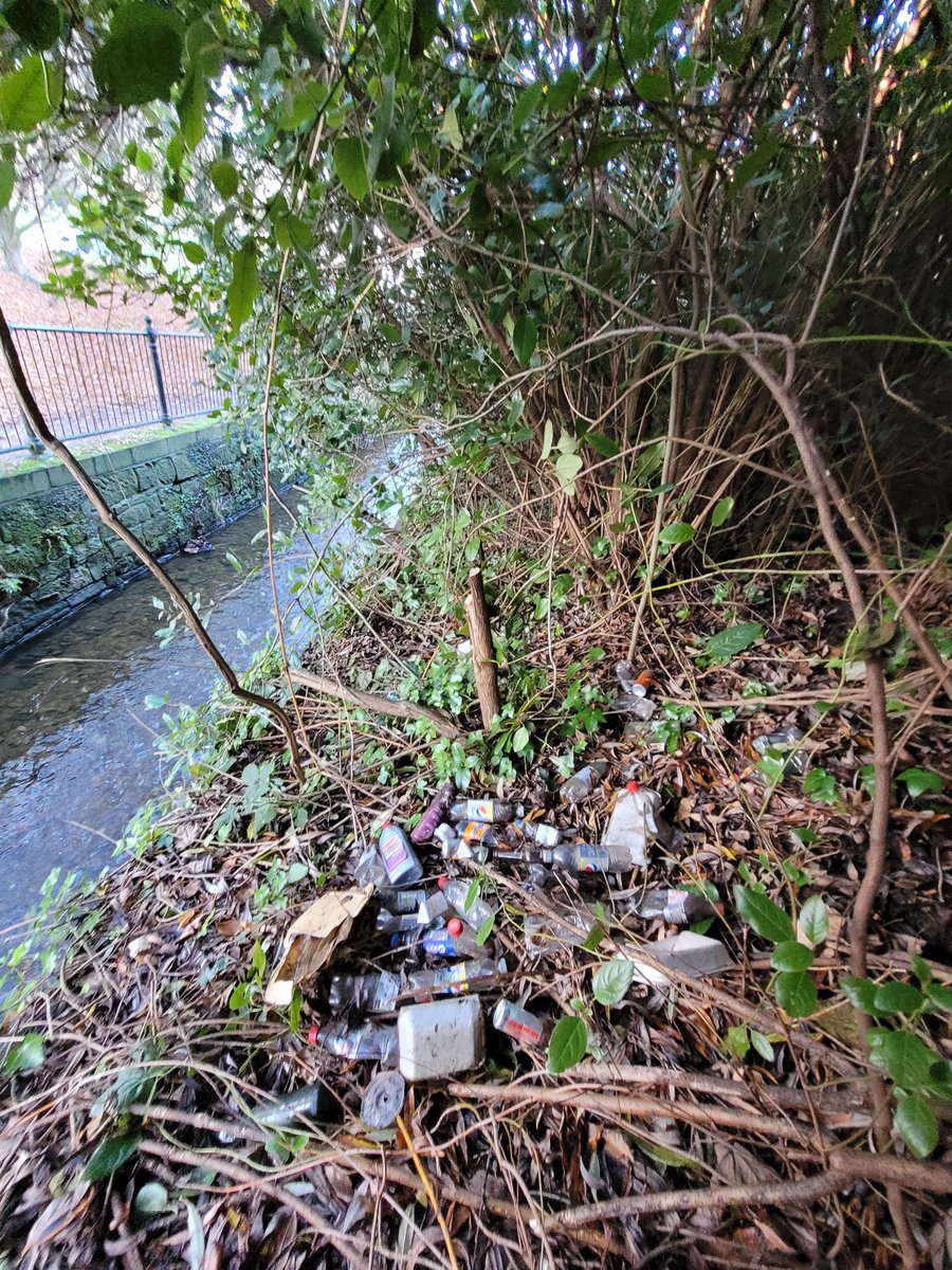 Wrexham Litter Pickers tweet media