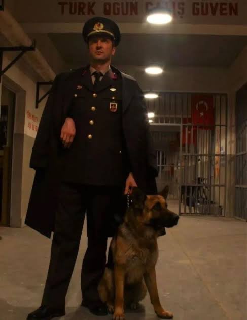 çene suyundaki bakteri (@biyikmilao) on Twitter photo 