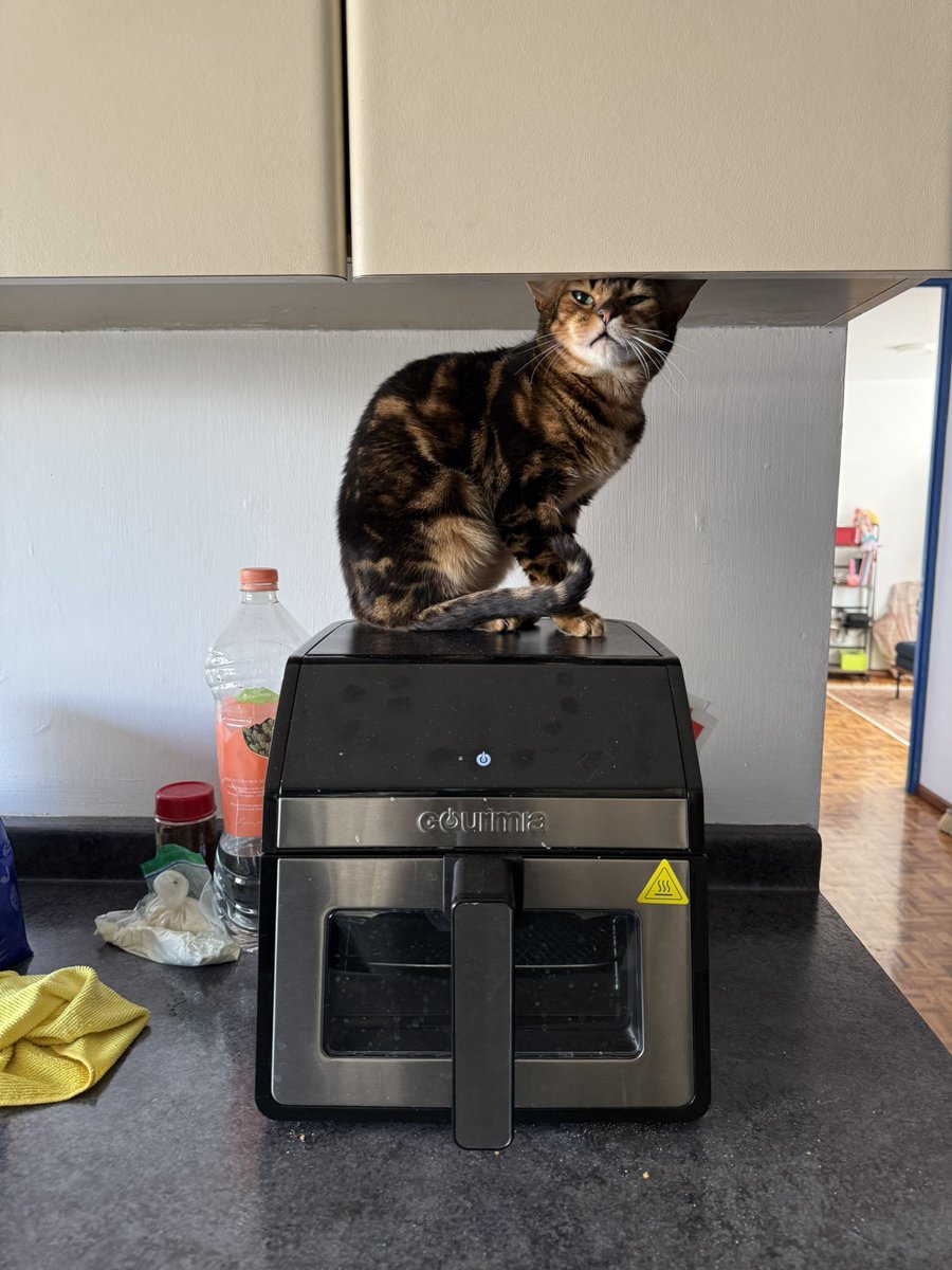 harry estilos tweet media