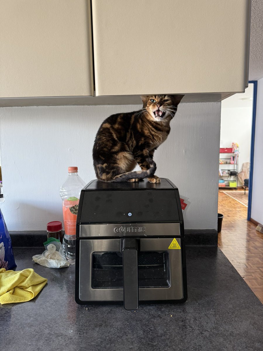 harry estilos tweet media