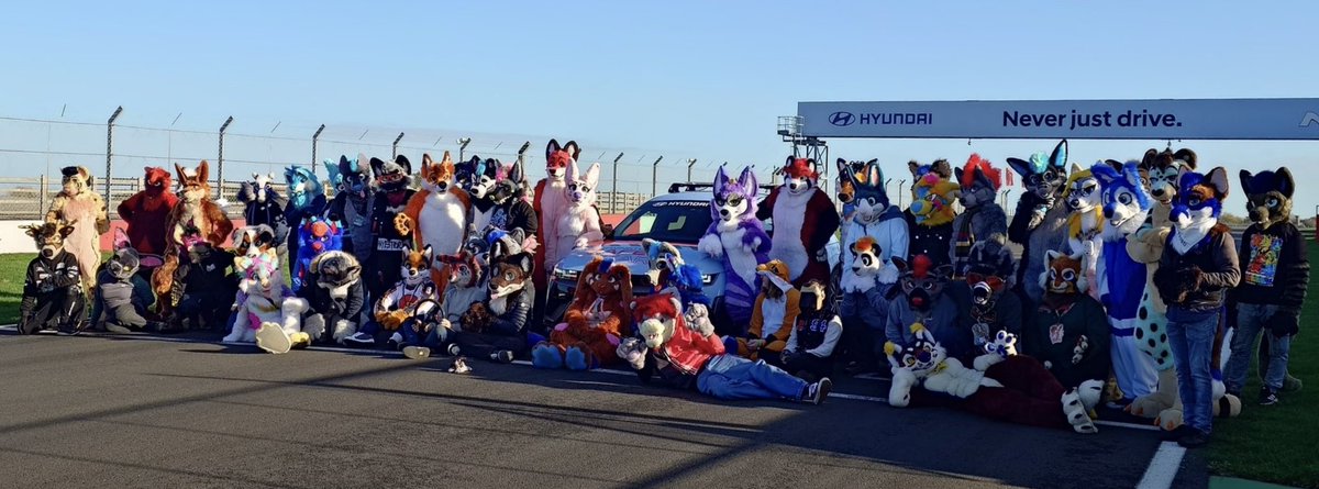 Xavier Fox tweet media