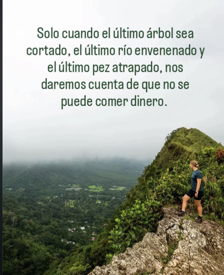 MDumanekof's tweet photo. @LoroVerdeDePTY https://t.co/ZzofYRu8iU