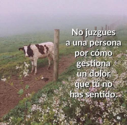 suspirxsalaire's tweet image. 