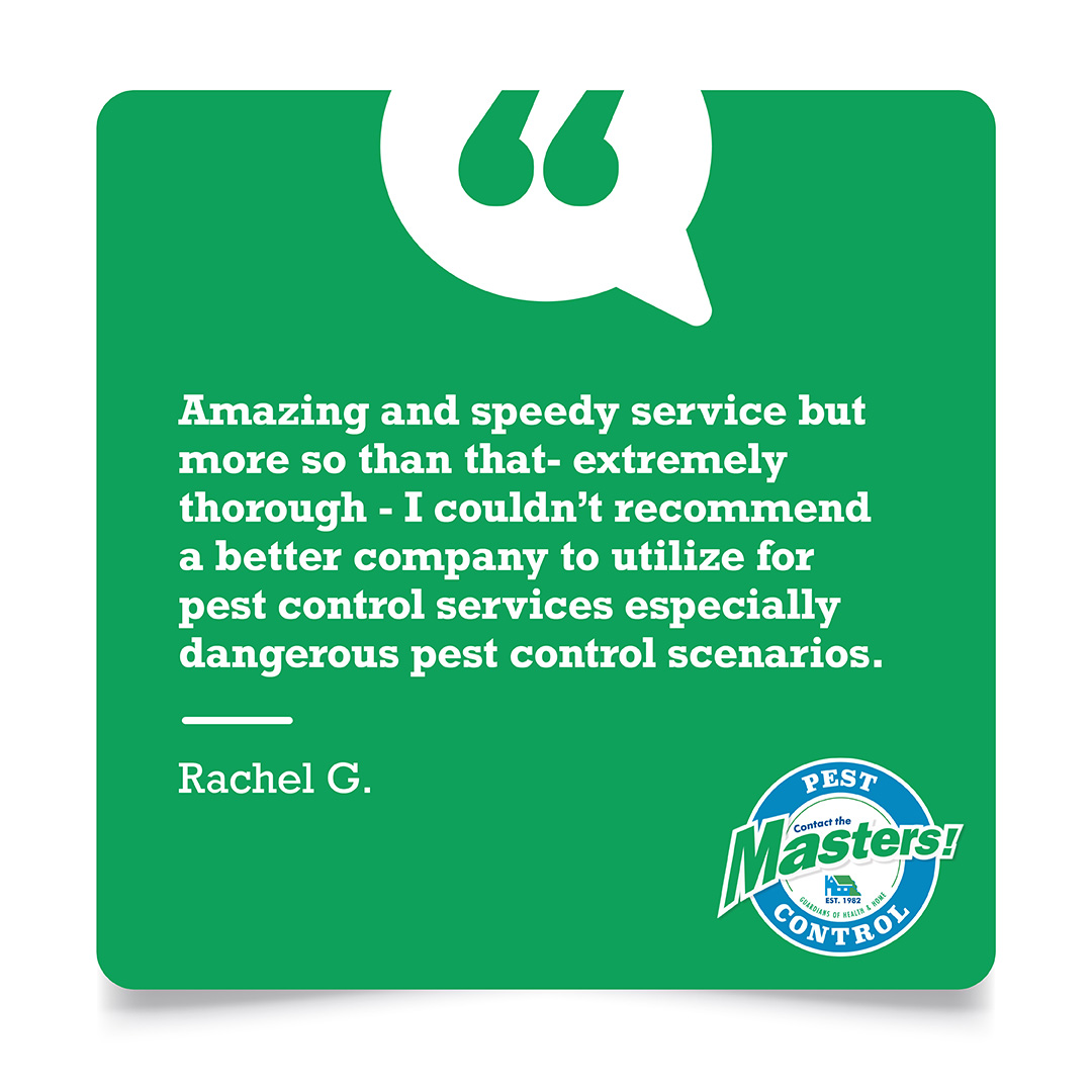 masters_pest's tweet image. “Amazing and speedy service but more so than that- extremely thorough - I couldn’t recommend a better company to utilize for pest control services especially dangerous pest control scenarios.” – Rachel G.

#ClientTestimonial #MastersPestControl