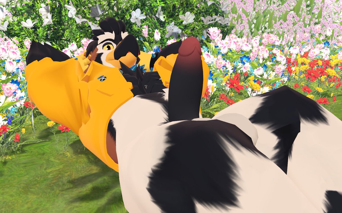 BIRDBONED 🔞☠️ tweet media