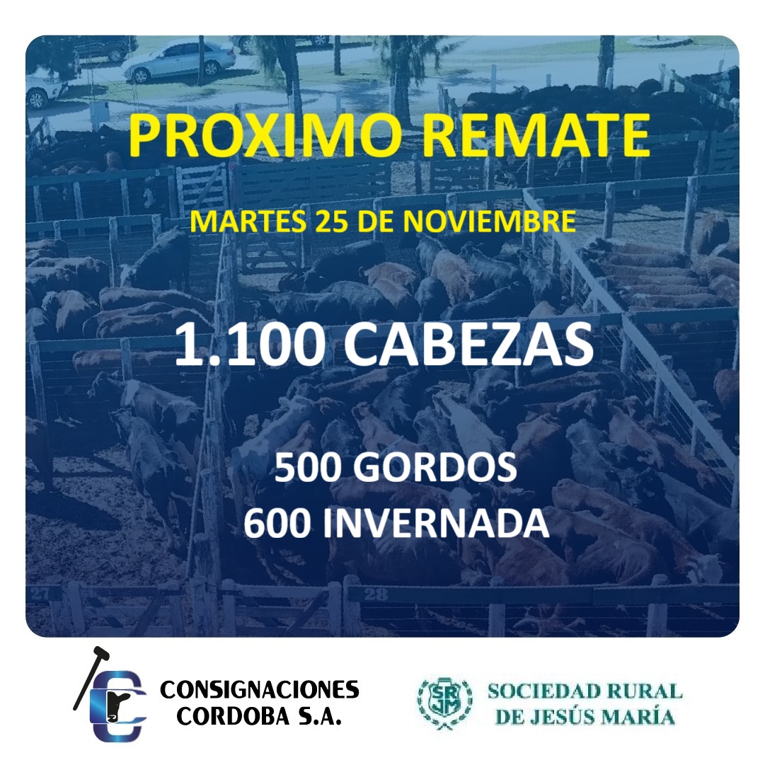 Este próximo Martes 25 de NOVIEMBRE los invitamos a participar de nuestro habitual remate. Ingresarán 1100 cabezas !  Los esperamos a partir de las 10 hs. en el predio de la <a href="/srjmcba/">SRJM</a> .