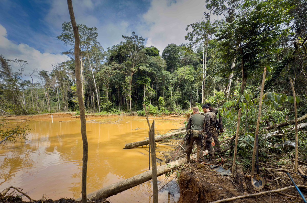 📍 Guyane | Poursuite des opérations des <a href="/FAG_Officiel/">Forces armées en Guyane</a> contre l'orpaillage illégal #HARPIE
 
En appui des forces de sécurité intérieure, les FAG maintiennent l'effort : 
 
✅ Repérage des itinéraires 🔍
✅ Démantèlement des sites d'exploitation⛓️
 
🎯 Engagement continu contre