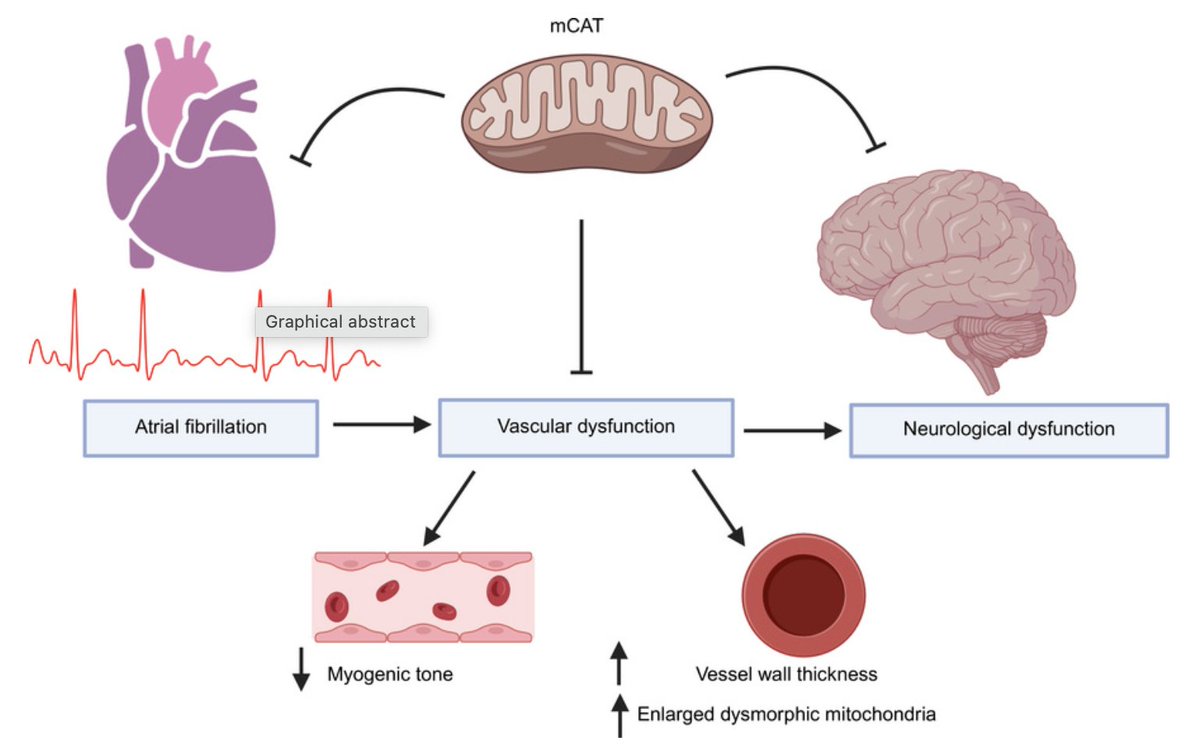 Elaine Wan tweet media