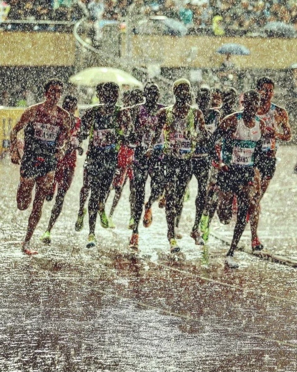 Footpath tweet media