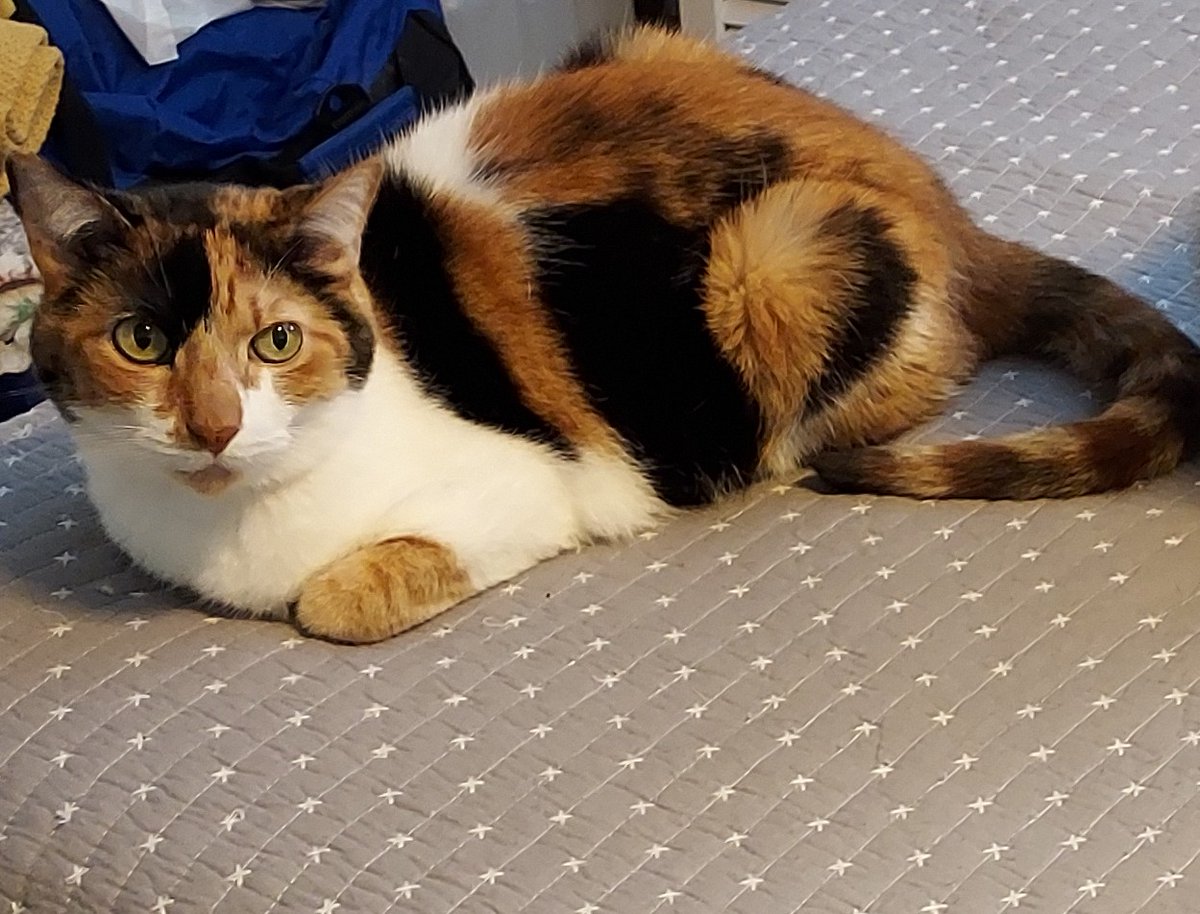 Marjory E. Leposky tweet media