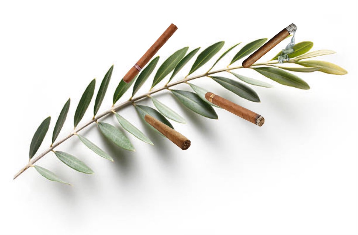 theCJS's tweet image. Officially extending a very special cigar olive branch to @billburr …I forgive you for the whole Rhiyan thing, ya ginger fucker! Hhaa just busting your tits. Was recently at my favorite stick spot and thought of you. I once opened for Paul Versi, who opened for you. - Jack