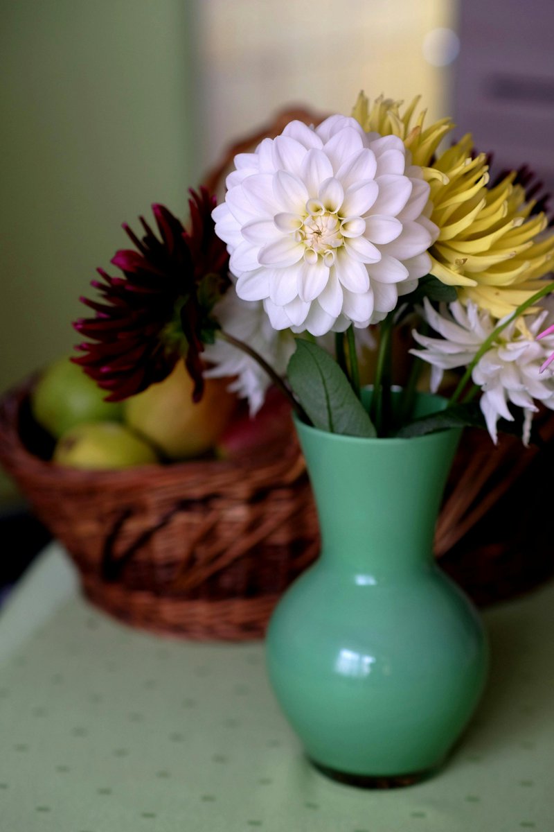 fuzzybeedecor1's tweet image. A centerpiece is a great décor addition – whether it&apos;s candles, flowers, or pumpkins/gourds. Some tips: keep it low so guests can chat, avoid strong scents, and match it to table size. 🐝🐝

fuzzybeedecor.com

#thanksgivingchecklist  #ThanksgivingTablescape  #homedecor