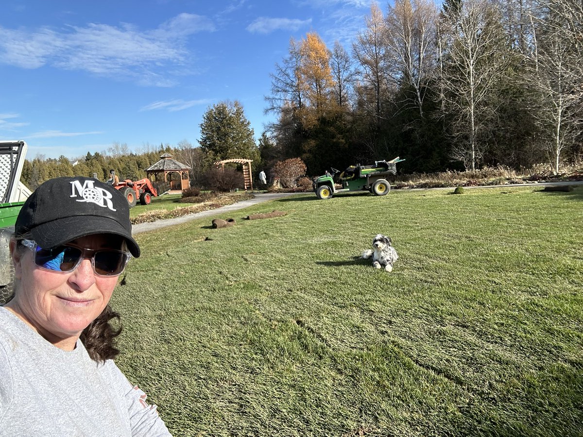 les8thomas's tweet image. Getting lots done this fall @MillRunGC today is sodding in this great weather 🌞 thanks for the delivery @ZanderSod this @DogsOfTurf finds it quite comfortable 🐶