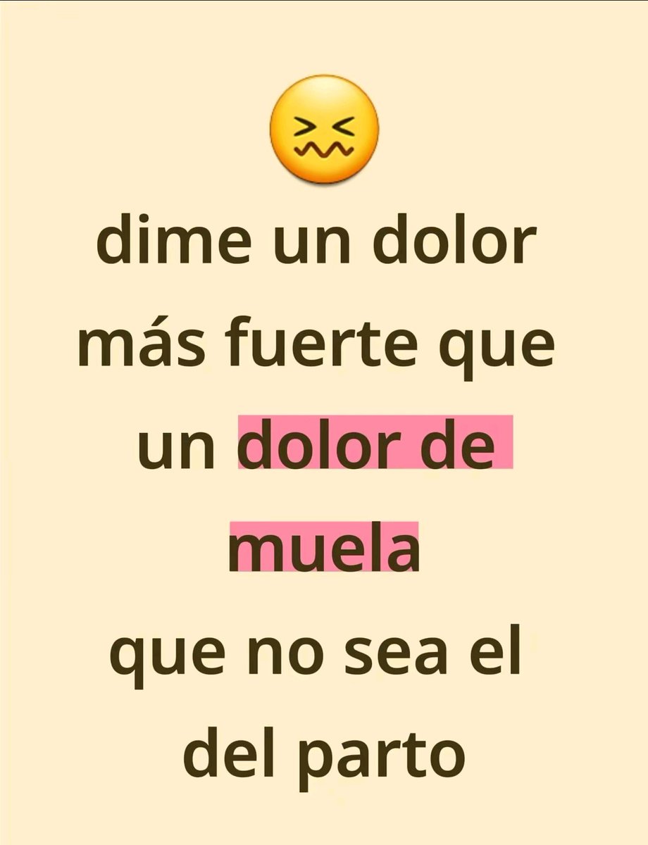 Suricato 💎 tweet media